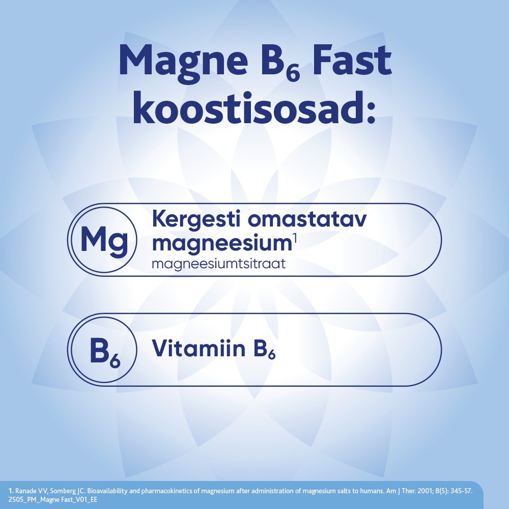 MAGNE B6 FAST GRAANULID N20