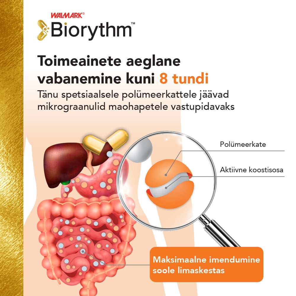 BIORYTHM MAGNE B6 KAPSLID N30
