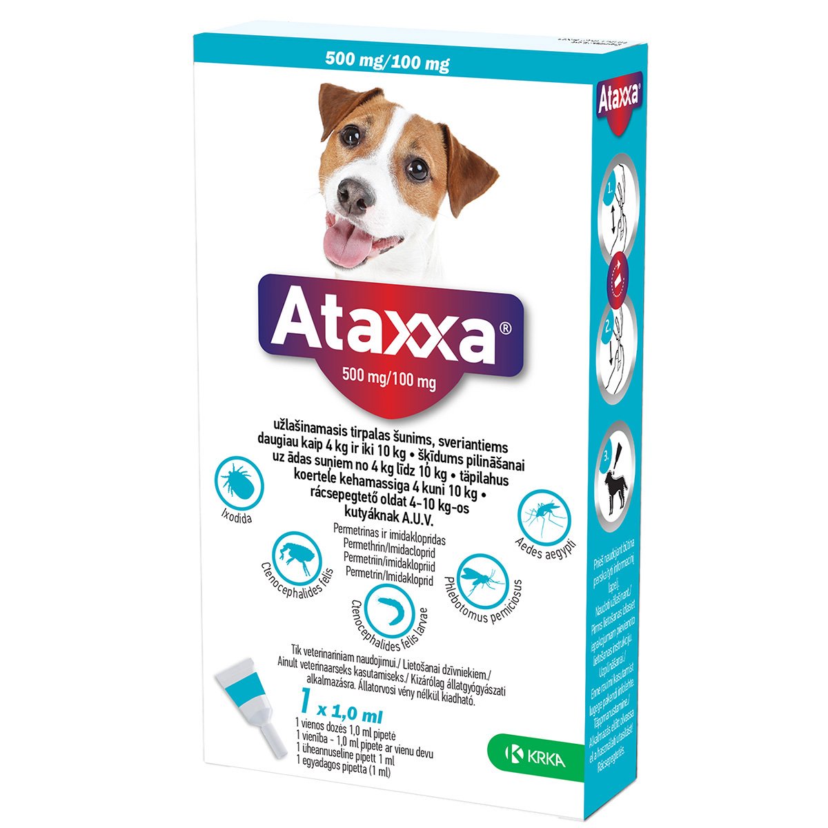 ATAXXA TÄPILAHUS KOERTELE 500MG/100MG SOL 1 ML N1