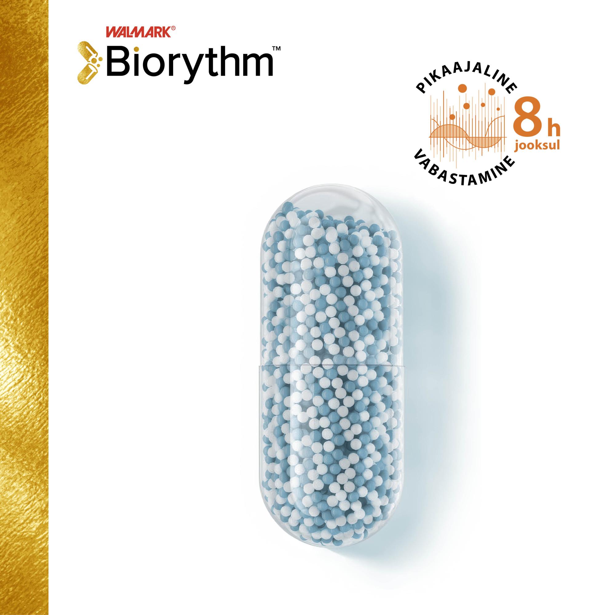 BIORYTHM MAGNE B6 KAPSLID N30
