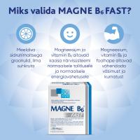 MAGNE B6 FAST GRAANULID N20