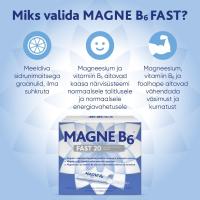 MAGNE B6 FAST GRAANULID N20
