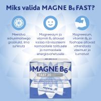 MAGNE B6 FAST GRAANULID N20
