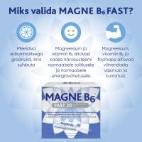 MAGNE B6 FAST GRAANULID N20