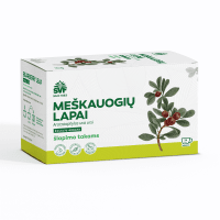 SVF LEESIKALEHED 1.5G N24