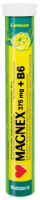 MAGNEX + VITAMIIN B6 LAHUSTUV TBL N20