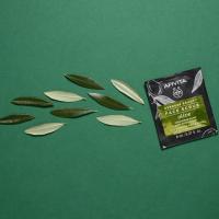 APIVITA EXPRESS NÄOKOORIJA OLIIVIDEGA 8+8ML N1