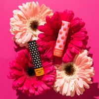 APIVITA HUULEPULK MEE/APRIKOOSIGA LASTELE 4,4G