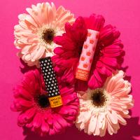 APIVITA HUULEPULK MEE/APRIKOOSIGA LASTELE 4,4G