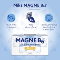 MAGNE B6 KAETUD TBL 5MG+470MG N60