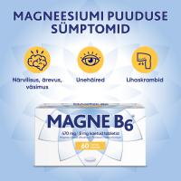 MAGNE B6 KAETUD TBL 5MG+470MG N60