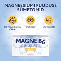 MAGNE B6 KAETUD TBL 5MG+470MG N60