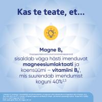 MAGNE B6 KAETUD TBL 5MG+470MG N60