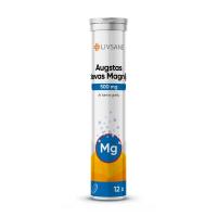 LIVSANE MAGNEESIUM LAHUSTUV TBL 500MG TUGEVATOIMELINE N12