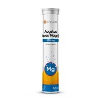LIVSANE MAGNEESIUM LAHUSTUV TBL 500MG TUGEVATOIMELINE N12