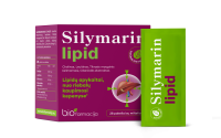 SILYMARIN LIPID PULBER N28
