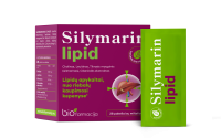 SILYMARIN LIPID PULBER N28