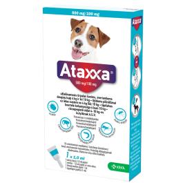 ATAXXA TÄPILAHUS KOERTELE 500MG/100MG SOL 1 ML N1