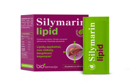SILYMARIN LIPID PULBER N28
