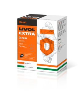 LIVOL EXTRA INGVER TBL N90