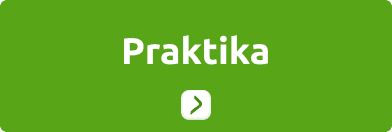 Praktika