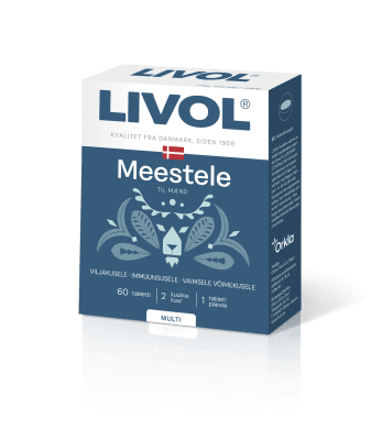 LIVOL MULTI MEESTELE TBL N60