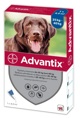ADVANTIX TÄPILAHUS 500MG+100MG 1ML 4ML N1