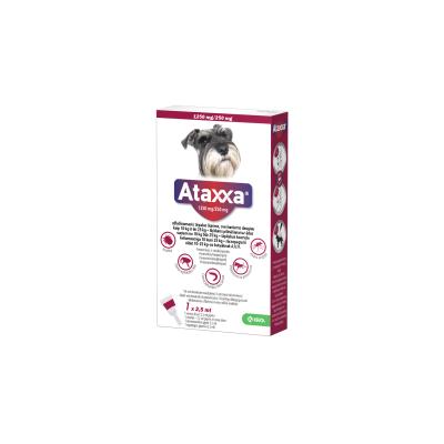 ATAXXA TÄPILAHUS 1250MG+250MG 2.5ML 2.5ML N1