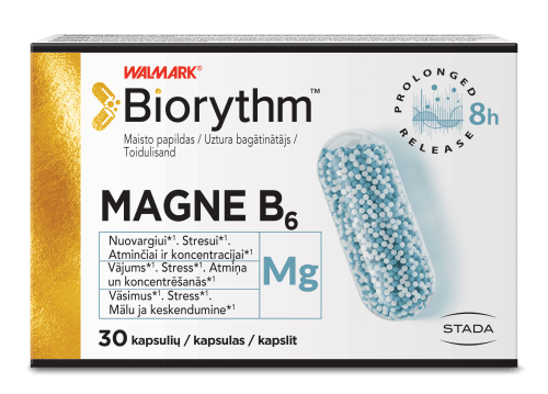 BIORYTHM MAGNE B6 KAPSLID N30