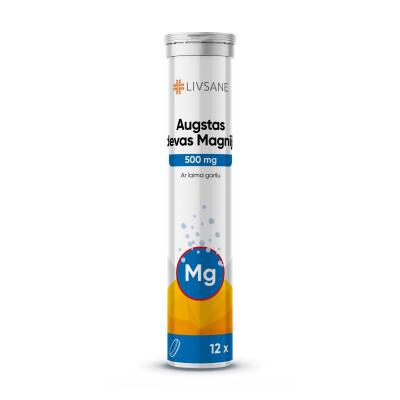 LIVSANE MAGNEESIUM LAHUSTUV TBL 500MG TUGEVATOIMELINE N12