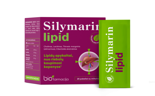 SILYMARIN LIPID PULBER N28