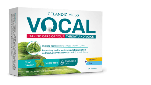 VOCAL MINT IMEMISTBL HÜALUROONHAPPEGA N24