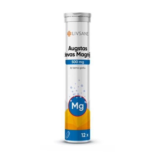 LIVSANE MAGNEESIUM LAHUSTUV TBL 500MG TUGEVATOIMELINE N12