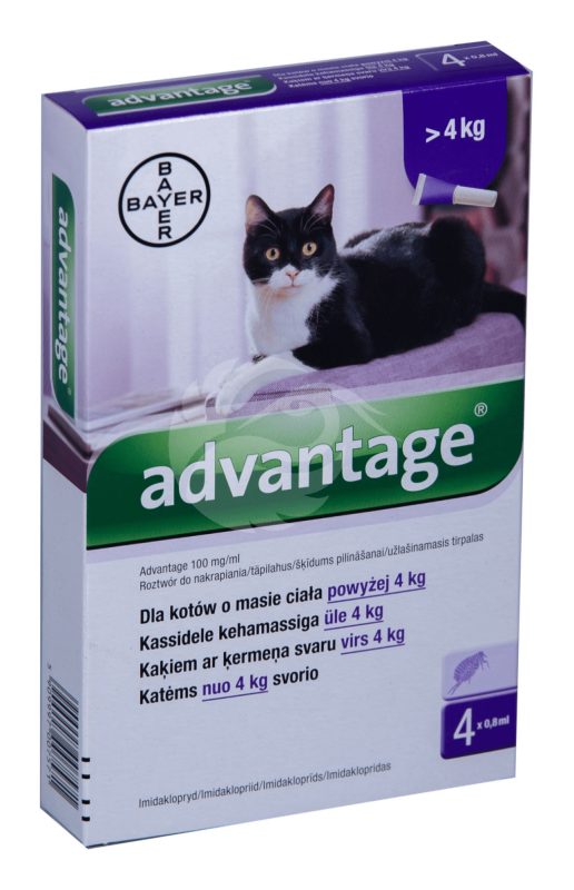 ADVANTAGE TÄPILAHUS 100MG 1ML 0.8ML N4, KASSIDELE
