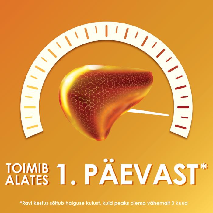 ESSENTIALE FORTE N KÕVAKAPSEL 600MG N30