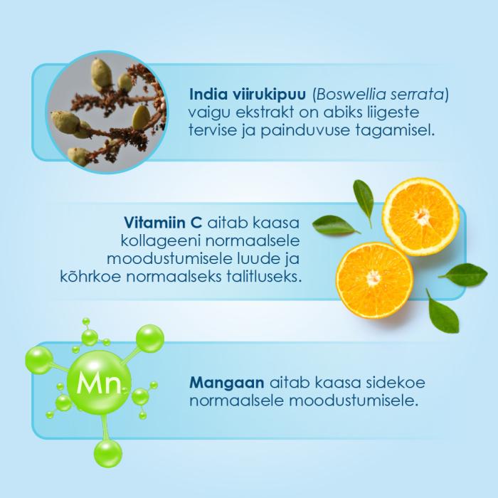 PROENZI ARTHROSTOP RAPID TBL N90