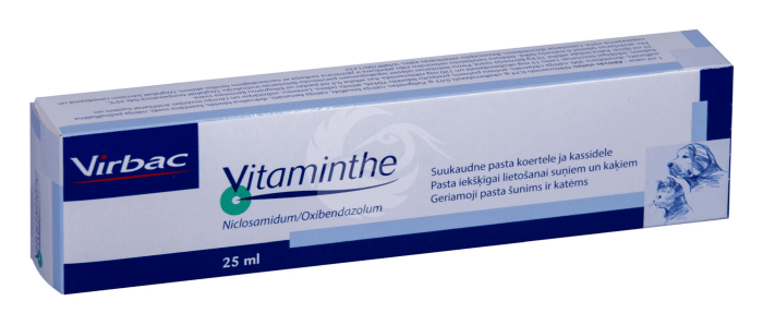 VITAMINTHE SUUKAUDNE PASTA 0.24G+0.03G 1ML 25ML N1