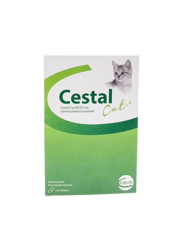CESTAL CAT NÄRIMISTABLETT 20MG+80MG N8