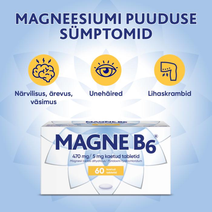 MAGNE B6 KAETUD TBL 5MG+470MG N60