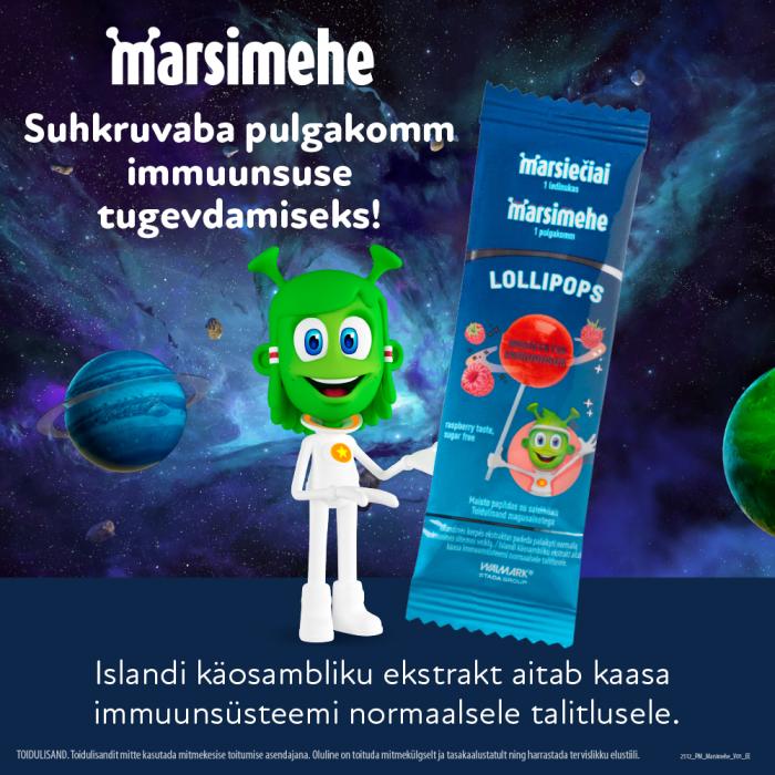 MARSIMEHE PULGAKOMM VAARIKAMAITSELINE N1