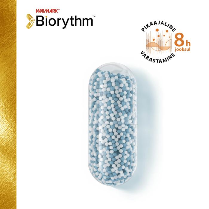 BIORYTHM MAGNE B6 KAPSLID N30