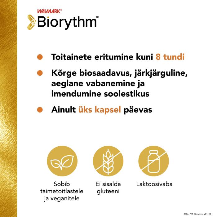 BIORYTHM MAGNE B6 KAPSLID N30