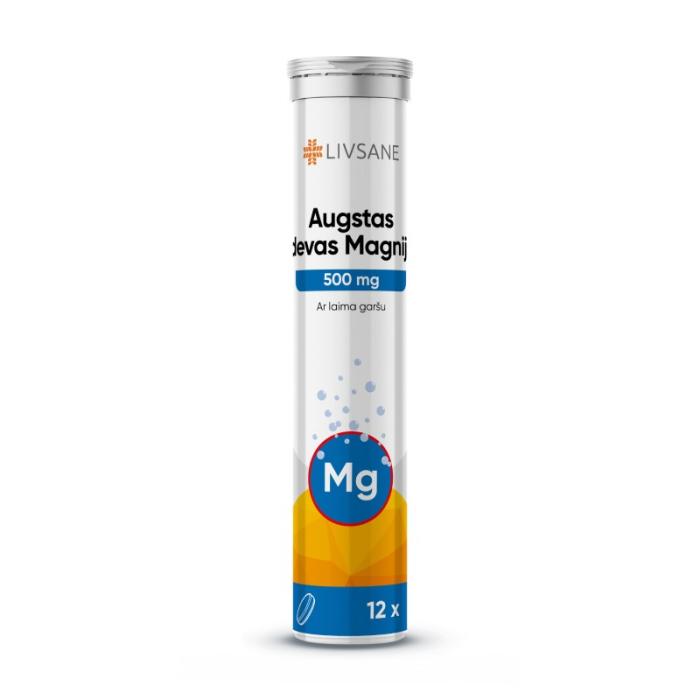 LIVSANE MAGNEESIUM LAHUSTUV TBL 500MG TUGEVATOIMELINE N12