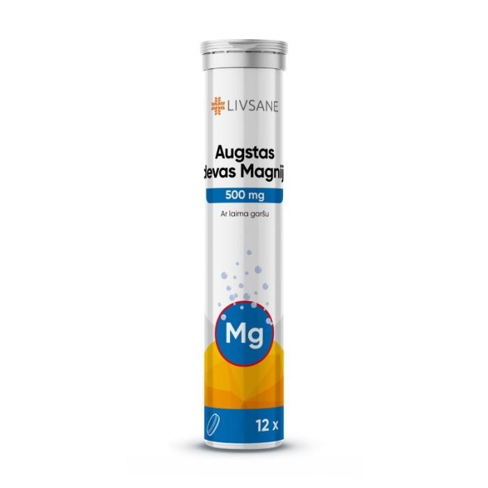 LIVSANE MAGNEESIUM LAHUSTUV TBL 500MG TUGEVATOIMELINE N12