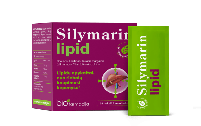 SILYMARIN LIPID PULBER N28