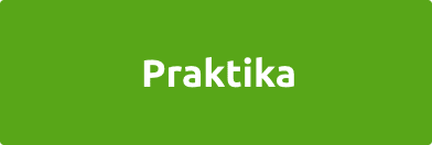Praktika